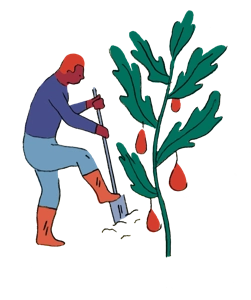 Illustration Horaires d'ouverture du Jardin