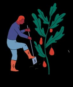 Illustration Horaires d'ouverture du Jardin