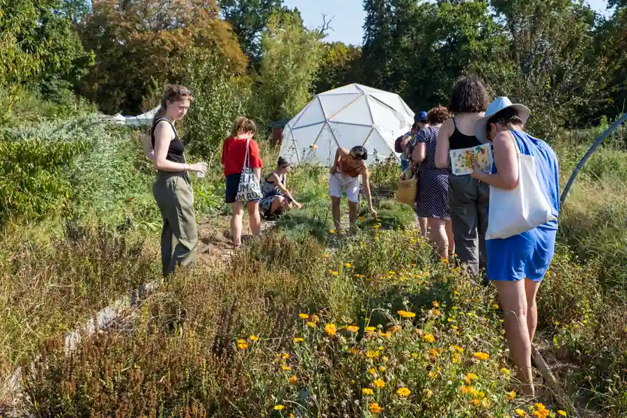 photo de la Basse Cour