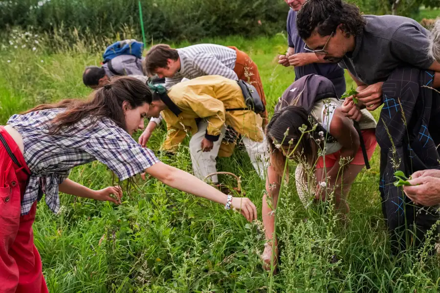 photo de la Basse Cour