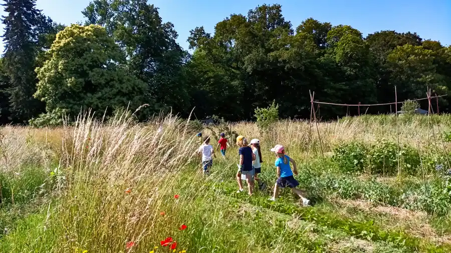 photo de la Basse Cour