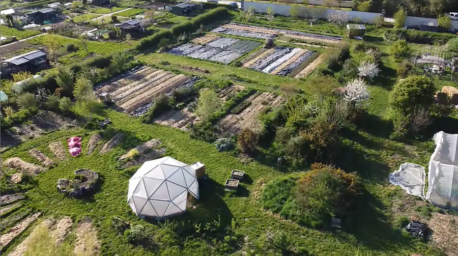 photo représentant l'agriculture durable