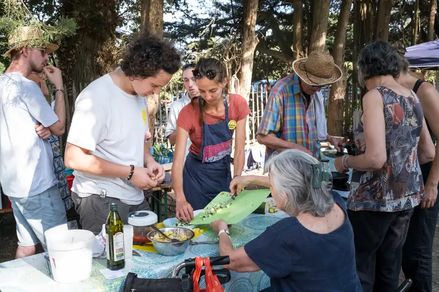 photo de la Basse Cour