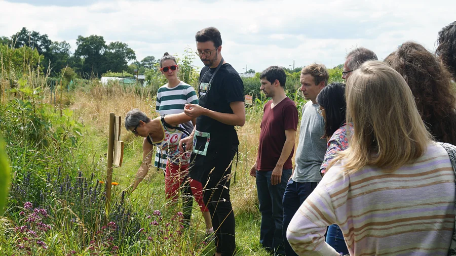 photo de la Basse Cour